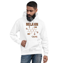 Load image into Gallery viewer, Unisex “Melanin Formula” Hoodie